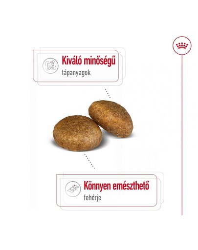 ROYAL CANIN Maxi Adult 4kg száraztáp felnőtt kutyáknak, 5 éves korig, nagytestű fajták