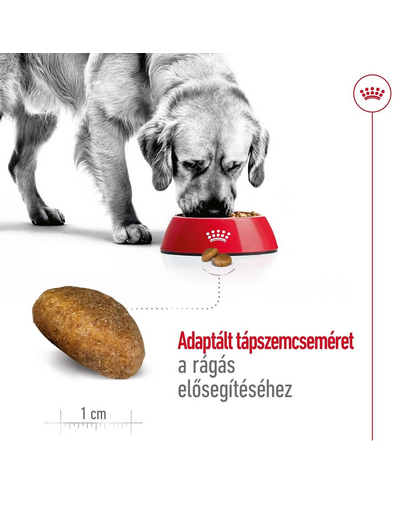 ROYAL CANIN Maxi Adult 4kg száraztáp felnőtt kutyáknak, 5 éves korig, nagytestű fajták