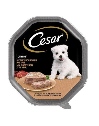 CESAR Junior 150 g tálca pulyka- és borjúhús pástétom kölyökkutyáknak