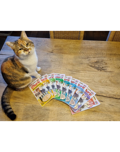INABA Churu Cat krém macskakajak csirke és fésűkagyló 56 g