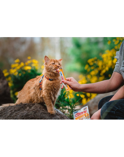 INABA Churu Cat tejszínes csirkés macskaeledel 56 g