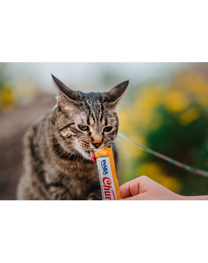 INABA Churu Cat tejszínes csirkés macskaeledel 56 g