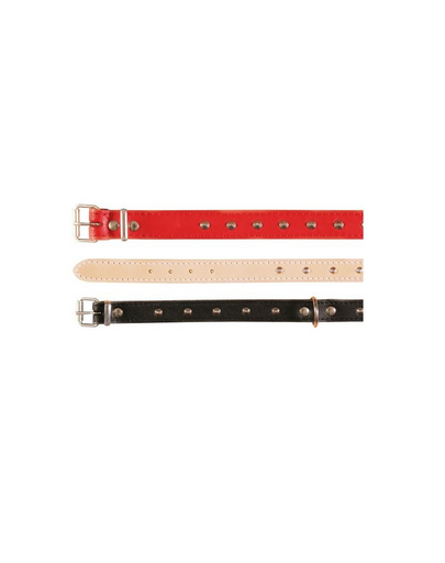 TRIXIE Basic szegecselt nyakörv ( M-L )  38 - 48 cm - 22 mm