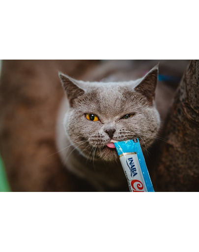 INABA Churu Cat krém macska kezelésére tonhal és fésűkagyló 56 g