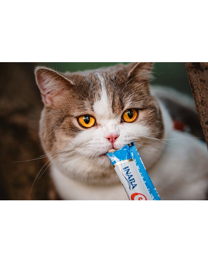 INABA Churu Cat krémes csirke és rák macskaeledel 56 g