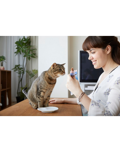 INABA CIAO Extra Tender chicken fillet grilled Zsenge csirkefilé ráklevesben 25 g