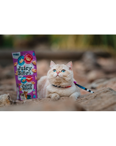 INABA Juicy Bites nedves garnélarák és tengeri herkentyűk macskáknak 33,9 g (3x11,3 g)
