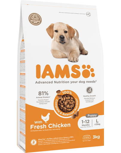 IAMS ProActive Health Puppy - Junior Large Breed Chicken 3 kg