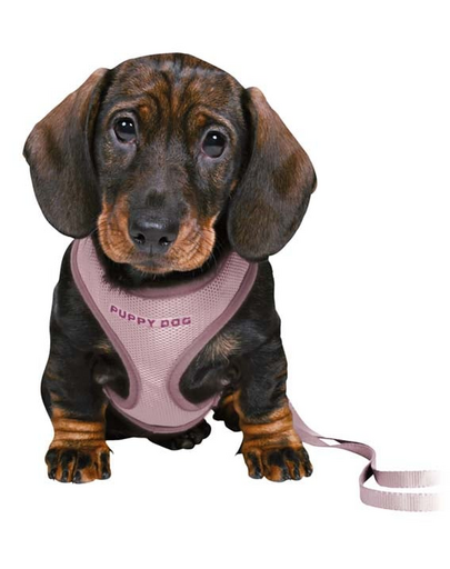 TRIXIE Junior Kiskutya hám pórázzal 26-34 cm/10 mm, 2,00 m, lila