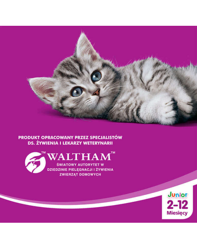 WHISKAS Junior csirke 300 g