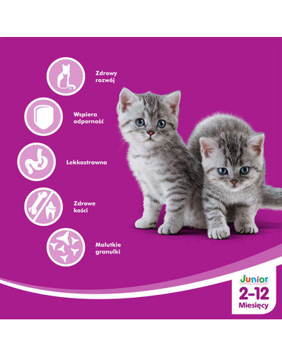 WHISKAS Junior csirke 300 g