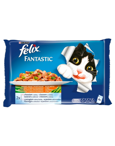 FELIX Fantastic uczta oceanu łosoś i pstrąg z warzywami w galaretce 40 x100g