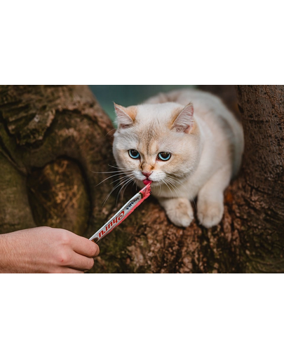 INABA Churu Cat krémes tonhal és lazac macskaeledel 56 g