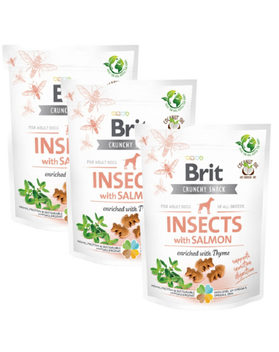 BRIT Care Dog Functional Snack Insect 3x200 g rovarokkal és lazaccal csemegézik