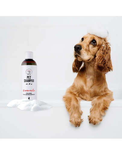PETS Shampoo Camomile sampon érzékeny bőrre 250 ml