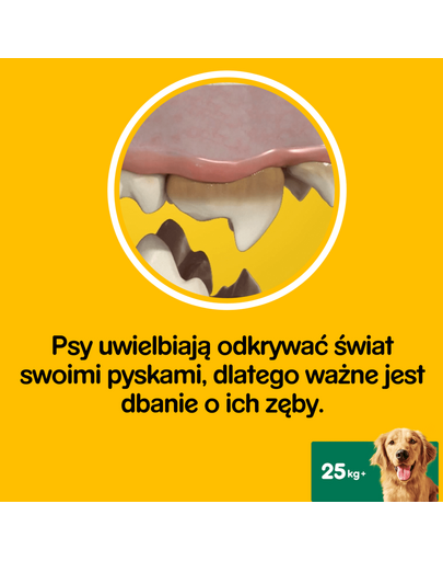 PEDIGREE Dentastix nagy fajták 8 x 270g