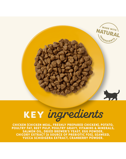 APPLAWS Kismacskáknak csirkével 2 kg