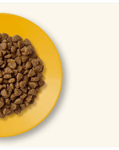 APPLAWS Kismacskáknak csirkével 2 kg