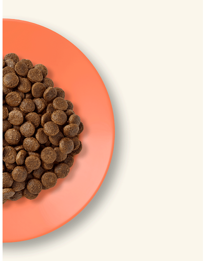 APPLAWS csirkével és lazaccal 2 kg