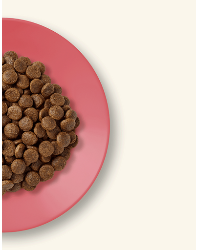 APPLAWS Dry cat Adult Csirke és kacsa 2 kg