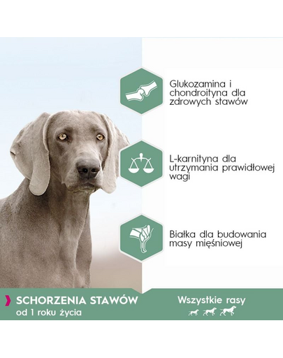 EUKANUBA Daily Care Adult Sensitive Joints 12 kg