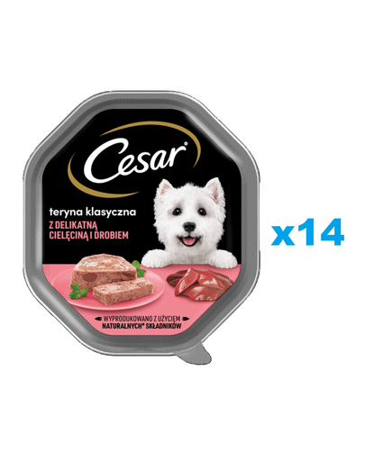 CESAR tálca 14x150 g nedves teljes értékű eledel felnőtt kutyáknak csikóhal zsenge borjúhússal és baromfival