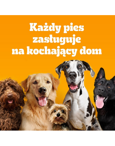 PEDIGREE Adult MINI 500 g baromfival és zöldségekkel teljes értékű szárazeledel felnőtt, kistestű kutyafajták számára