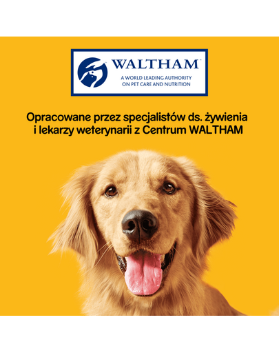 PEDIGREE Rodeo 70g kutyakaját marhahússal