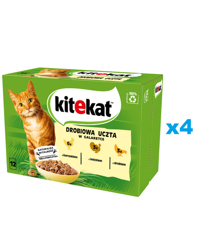 KITEKAT Baromfi zselés lakoma 48x85g teljes értékű nedves eledel felnőtt macskáknak csirkével, pulykával és baromfival zselében