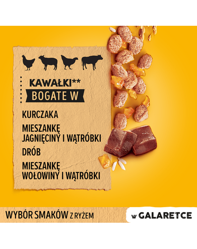PEDIGREE Junior Ízválaszték rizzsel tasakok 12x100g kölyök nedves eledel zselében csirkével, báránnyal, baromfival és marhahússal