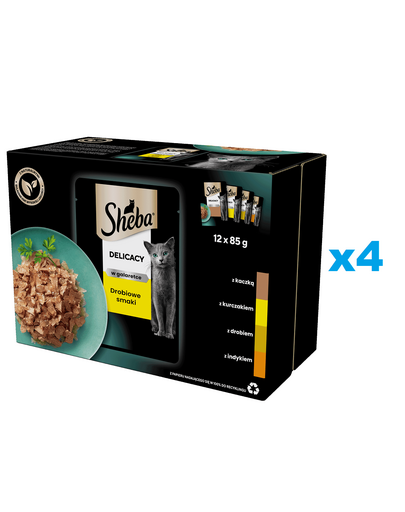 SHEBA Delicacy Baromfi ízek tasakok 48x85 g teljes értékű nedves eledel felnőtt macskáknak zselésített darabokban: kacsa, csirke, baromfi, pulyka