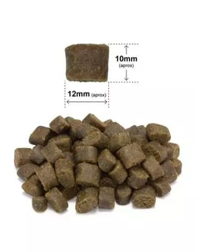 ARQUIVET Fresh Félnedves kutyaeledel pulykával és tengeri hallal 2,5 kg