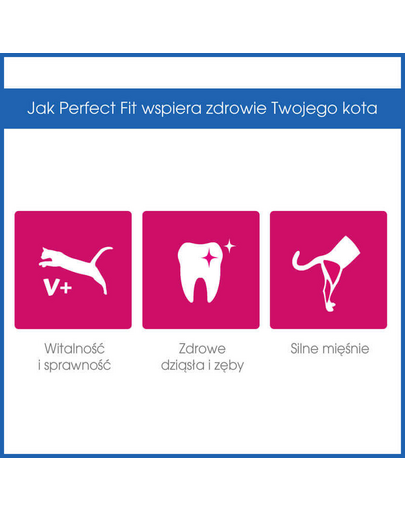 PERFECT FIT Adult 1+ marhahúsban gazdag eledel macskáknak 750 g