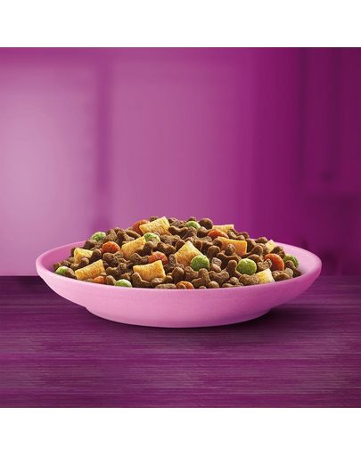 WHISKAS Junior 6x300 g száraz teljes értékű eledel ízletes csirkével cicáknak