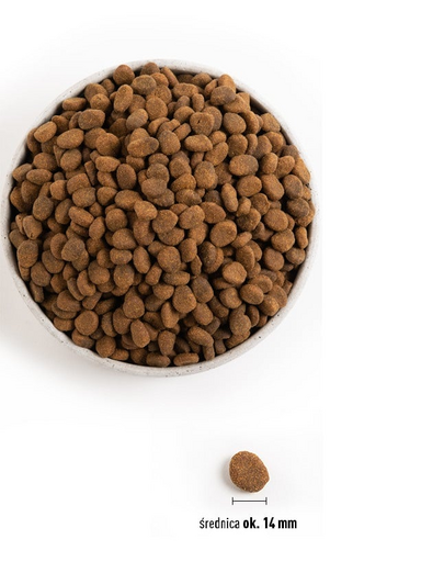 ORIJEN Tundra Dog 11,4 kg