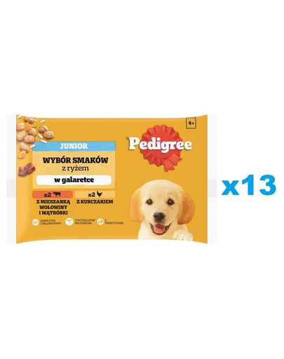 PEDIGREE Junior Choice of Flavors rizses tasak 52x100g teljes értékű nedves eledel kölyökkutyáknak, darabokban, marhahús és máj keverékével és rizzsel, csirkével és rizzsel, zselében