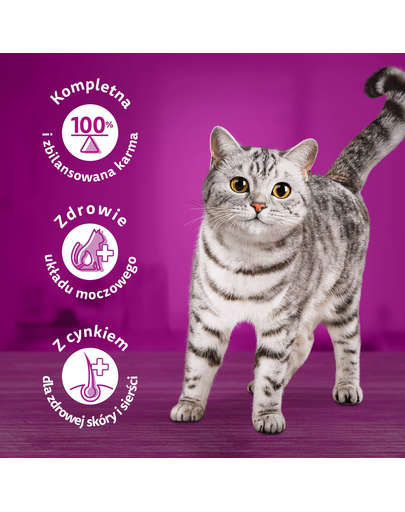 WHISKAS Tasty Mix Kremowe Wariacje z kurczakiem, jagnięciną i indykiem w sosie 12x85g