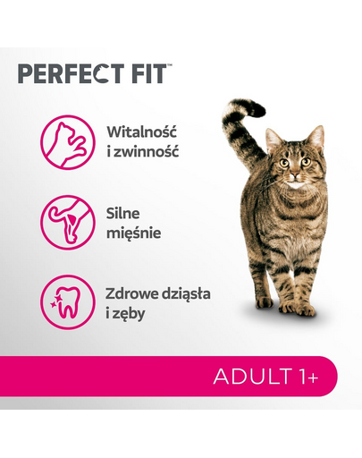 PERFECT FIT Adult 1+ 7 kg sucha karma pełnoporcjowa dla dorosłych kotów bogata w świeżego łososia