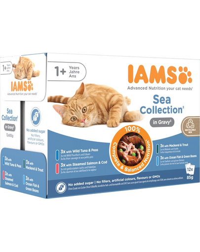 IAMS Cat Delights Adult All Breeds Sea In Jelly Pouch 12 x 85 g