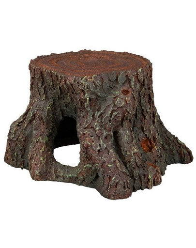 Pień 16 cm