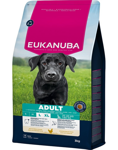 EUKANUBA Adult Large Breeds Chicken 3 kg száraz kutyatáp nagytestű kutyáknak friss csirkével