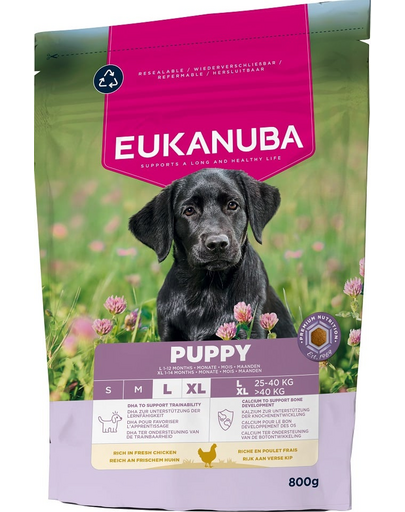 EUKANUBA Puppy Large Breeds Chicken 800 g száraz táp nagytestű kölyökkutyáknak friss csirkével
