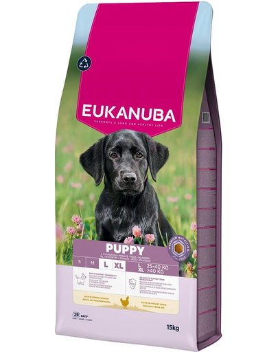 EUKANUBA Puppy Large Breeds Chicken 15 kg száraz táp nagytestű kölyökkutyák számára friss csirkével