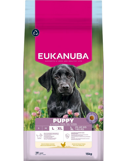 EUKANUBA Puppy Large Breeds Chicken 15 kg száraz táp nagytestű kölyökkutyák számára friss csirkével