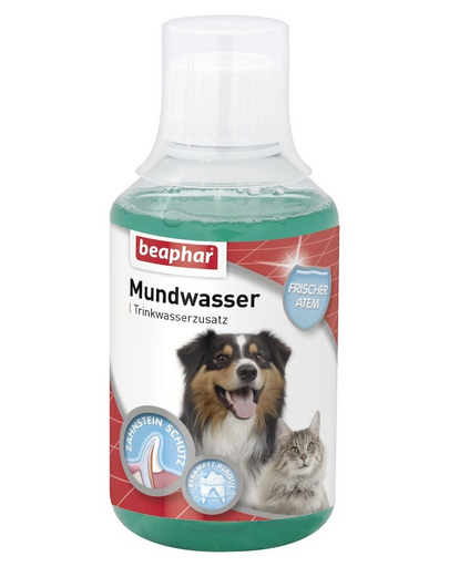BEAPHAR Mundwasser 250 ml płyn do pielęgnacji jamy ustnej i zębów dla psów i kotów