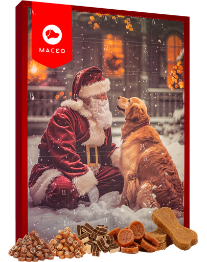 Kalendarz adwentowy dla psa