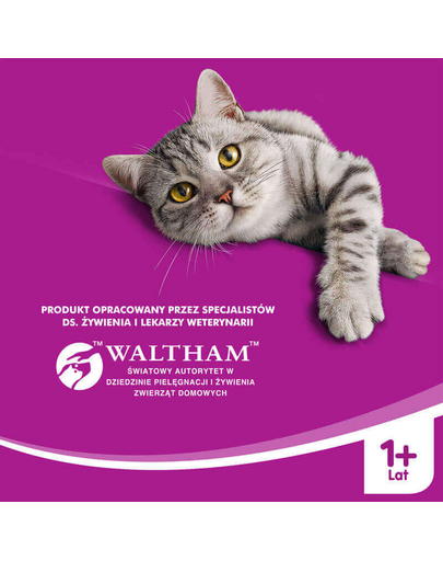 Wołowina w sosie 400 g