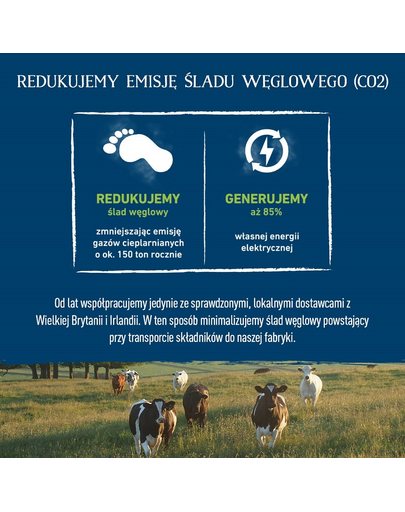 BUTCHER'S Original Tripe Mix, karma dla psa, ze żwaczem, pasztet, 1200g