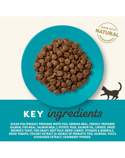 APPLAWS Adult ocean fish and salmon 350 g ryby oceaniczne z łososiem dla dorosłych kotów