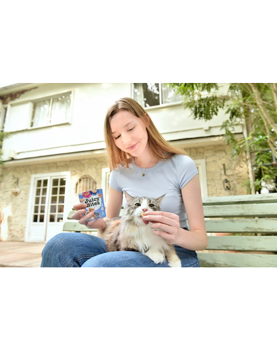 INABA Juicy Bites wilgotne przysmaki krewetki i owoce morza dla kota 33,9 g (3x11,3 g)